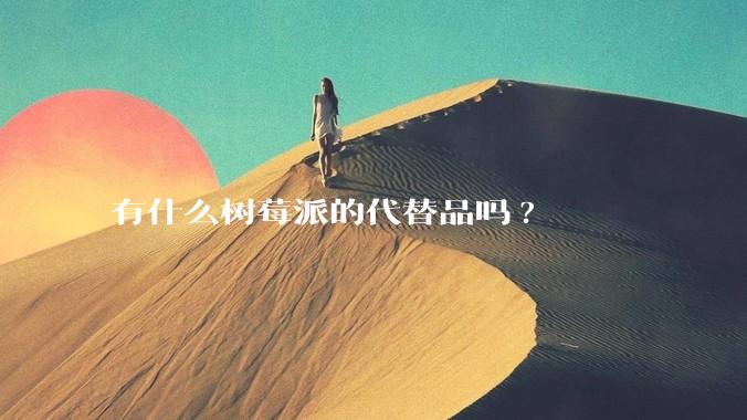 有什么树莓派的代替品吗?